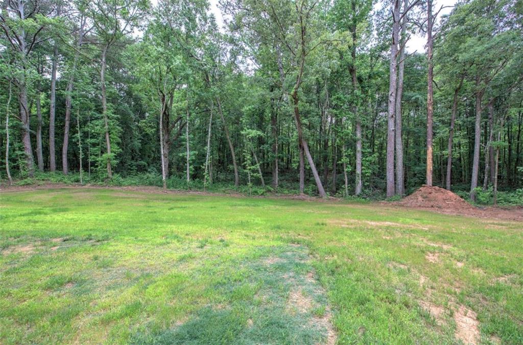 4142 Lovvorn Road Carrollton, GA 30117 - Photo 51 of 51
