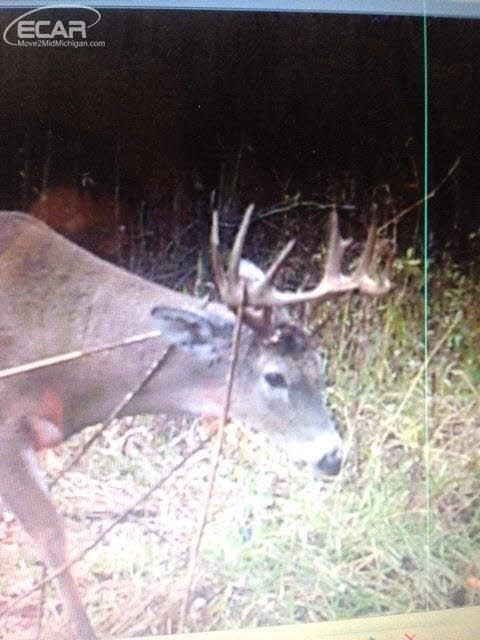 0 Nettney Capac, MI 48014 - Photo 1 of 32