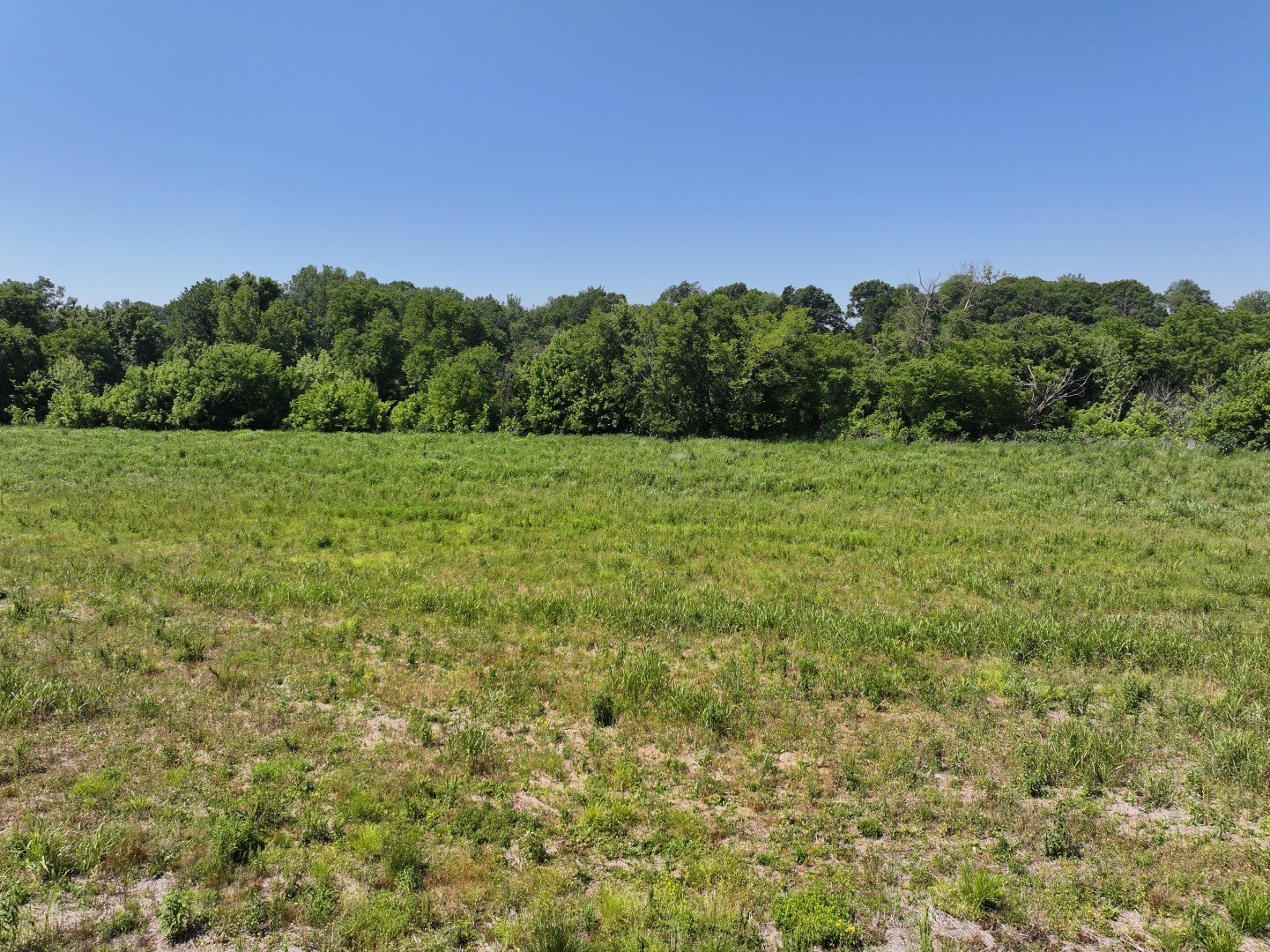 110 Wade Reed Road White Bluff, TN 37187 - Photo 15 of 80