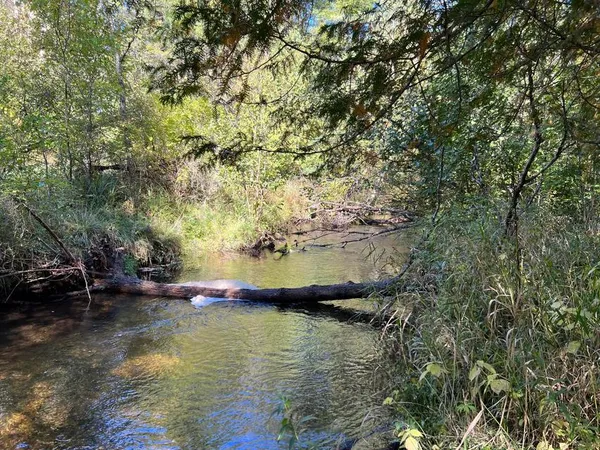 $69,900 | Vl East Vl E Alpine Luther Mi 49656, Luther, MI 49656