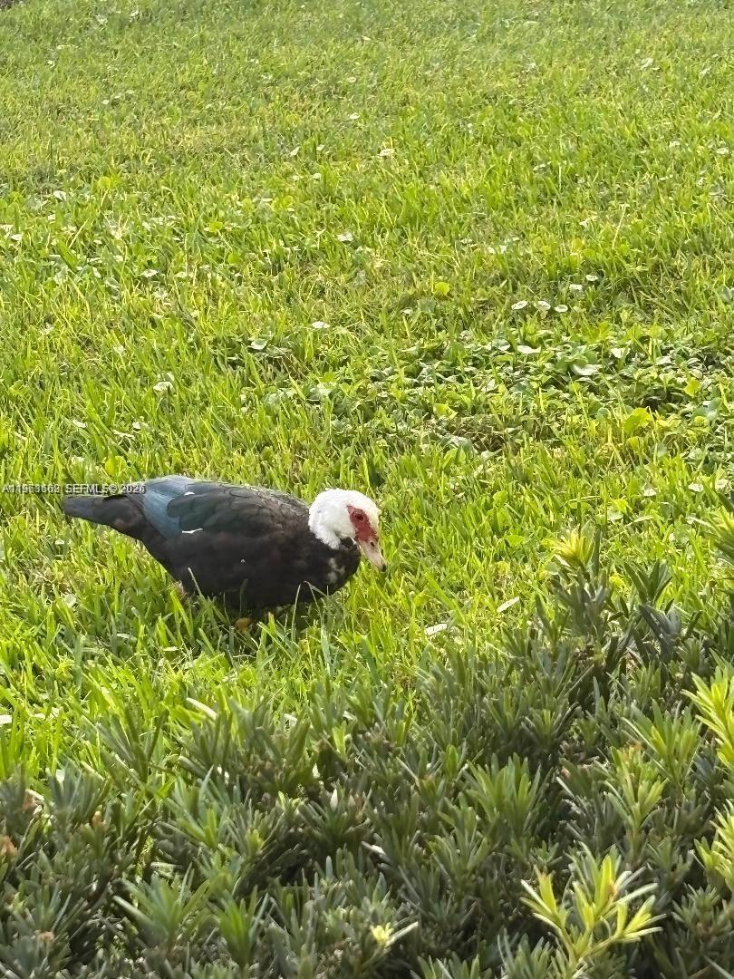 82 Dorset B, Unit 82 Boca Raton, FL 33434 - Photo 35 of 35