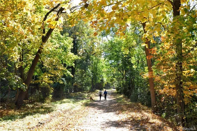 a bench sitting in middle of a forest