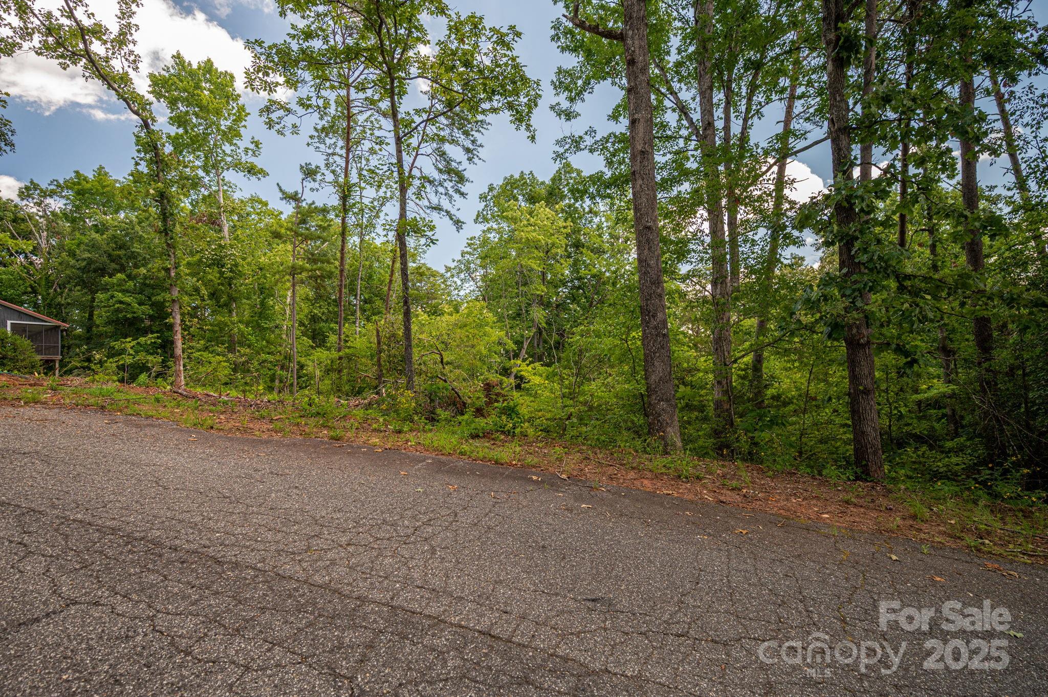 Lot 207 Plantation Drive Rutherfordton, NC 28139 - Photo 11 of 11 a view of a field with trees in the background