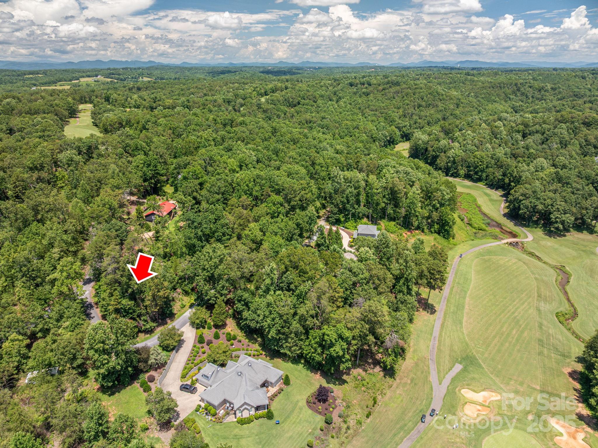 Lot 207 Plantation Drive Rutherfordton, NC 28139 - Photo 8 of 11