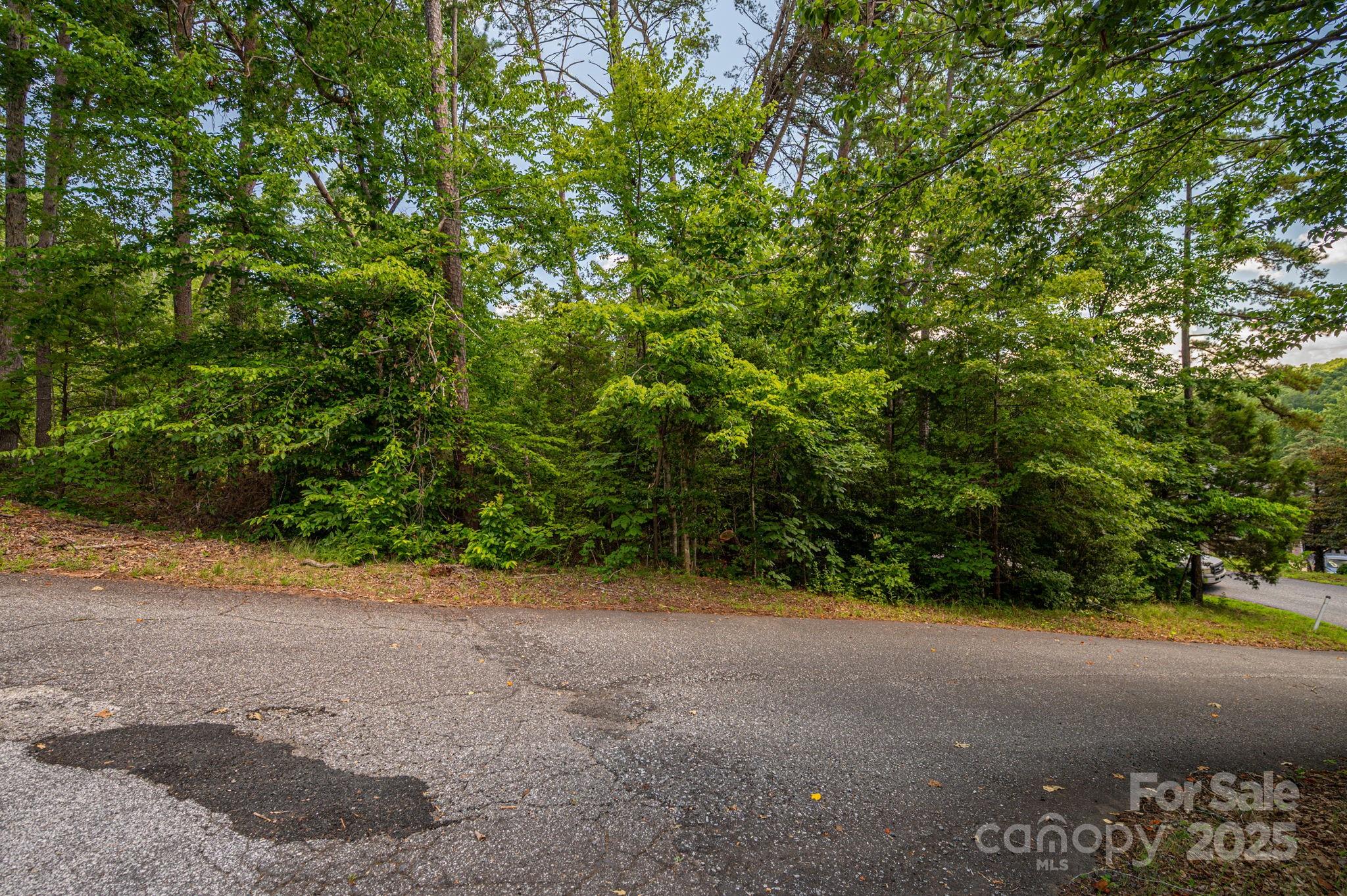 Lot 207 Plantation Drive Rutherfordton, NC 28139 - Photo 10 of 11 a view of a field with plants and trees in the background