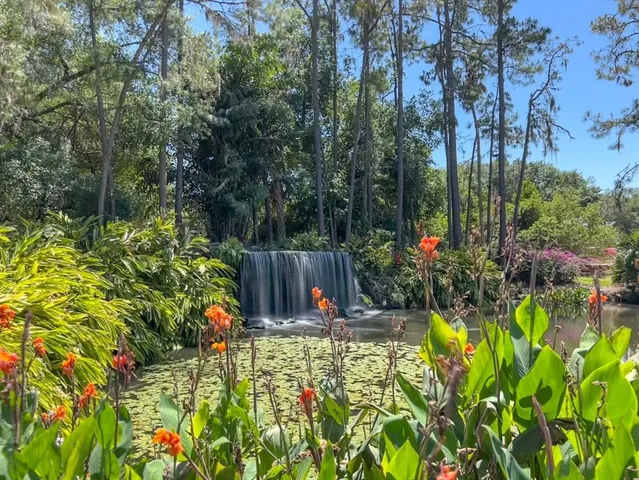 a view of a house with a big yard plants and large trees
