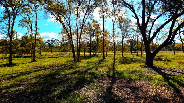 a view of yard with trees