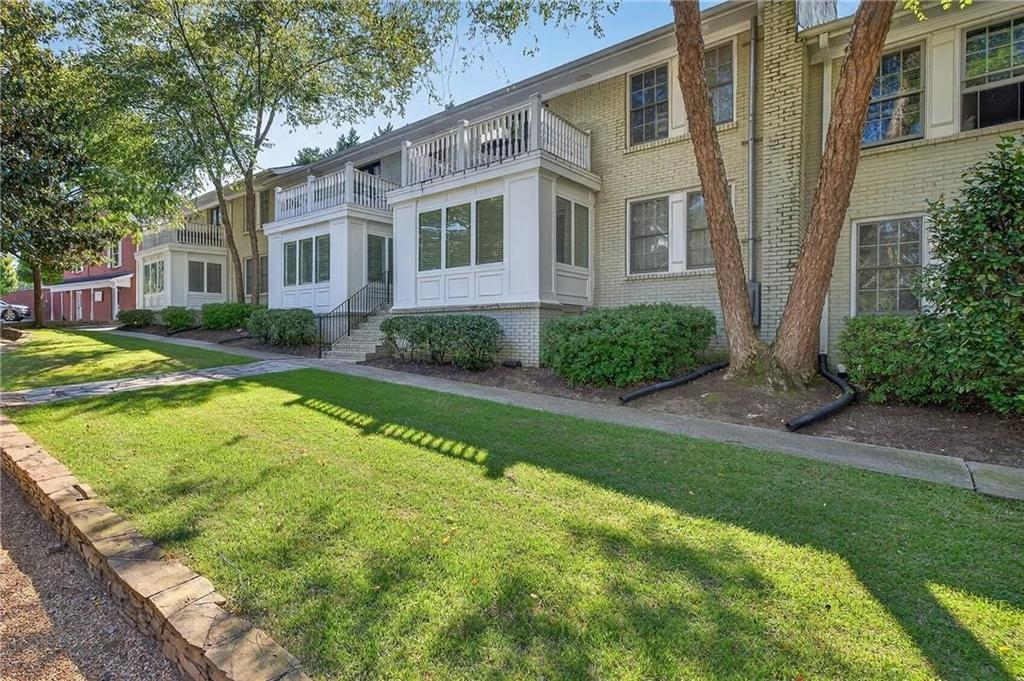 a view of a big yard with plants and large trees