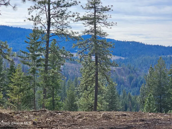 $389,000 | 2252 East Badger Road, Harrison, ID 83833