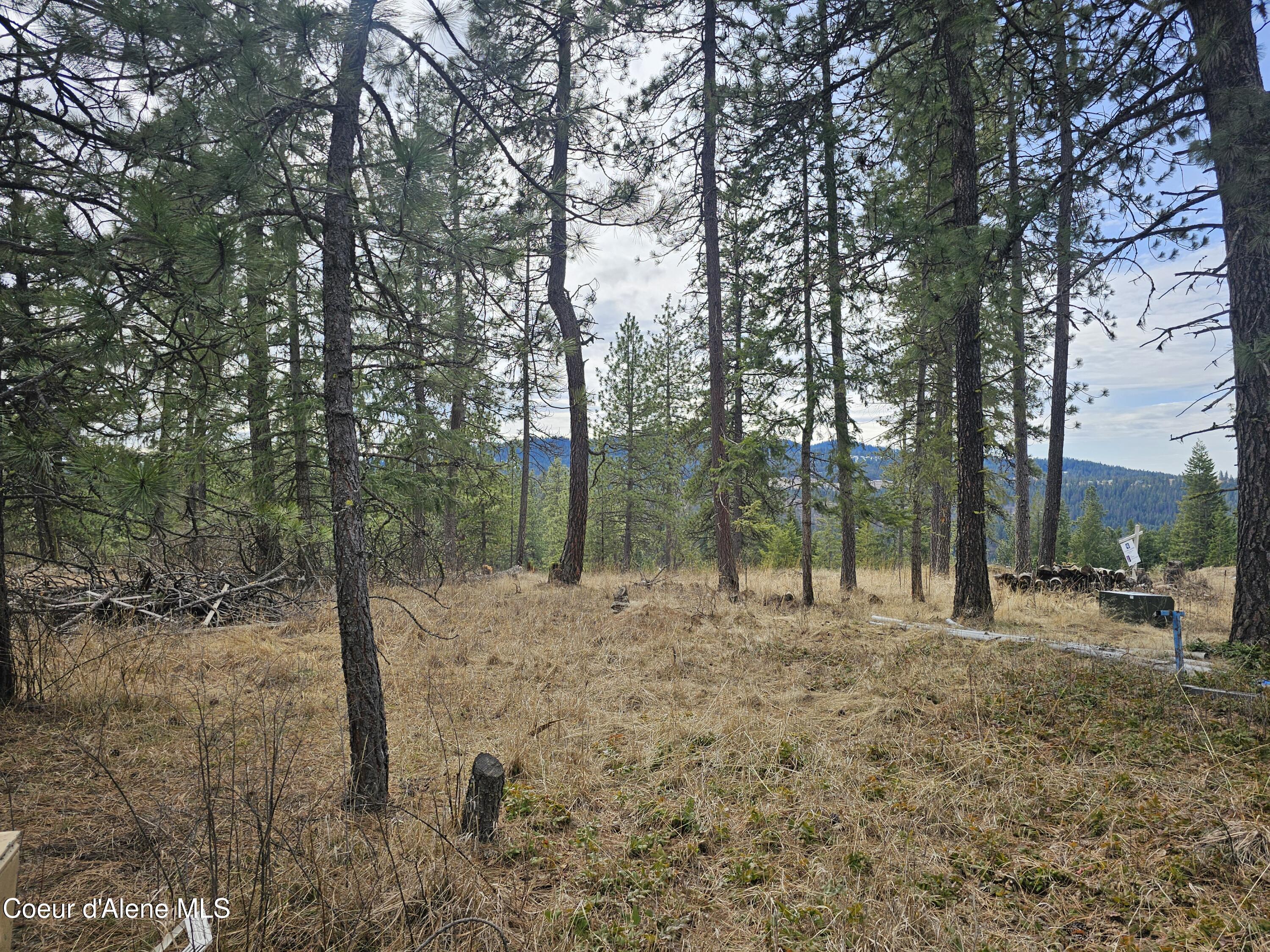 2252 East Badger Road Harrison, ID 83833 - Photo 6 of 18 Upper build site