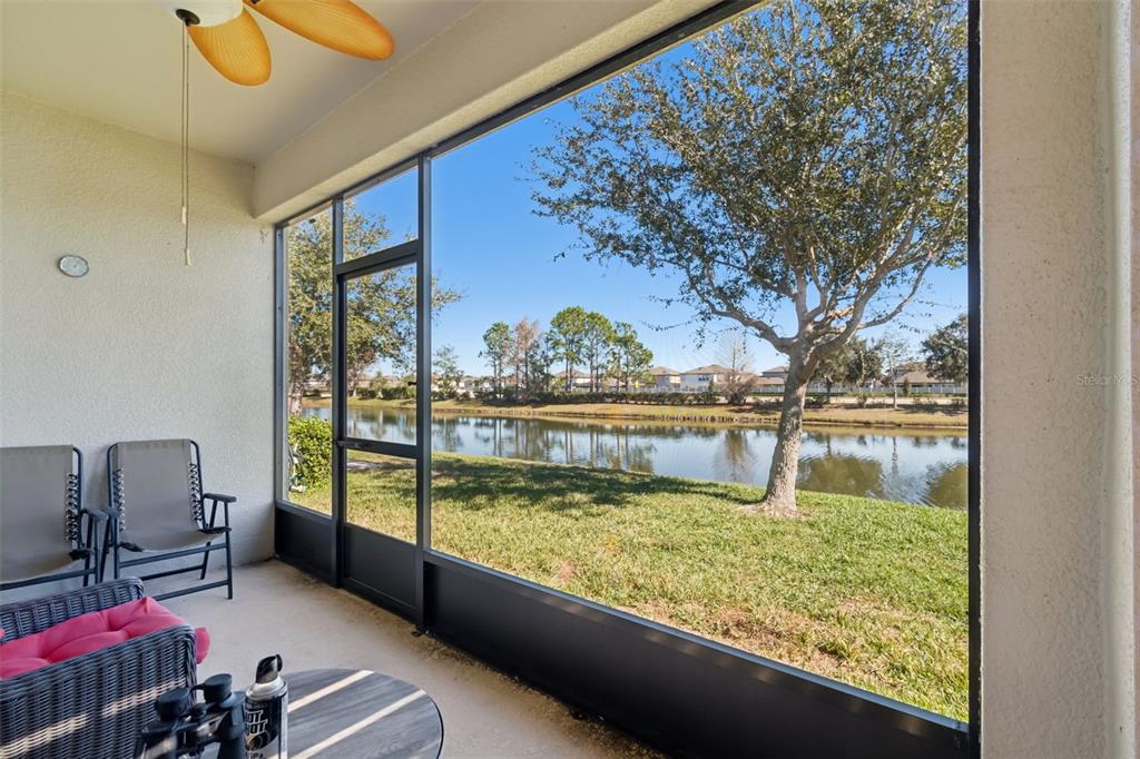 7852 Timberview Loop Wesley Chapel, FL 33545 - Photo 33 of 47