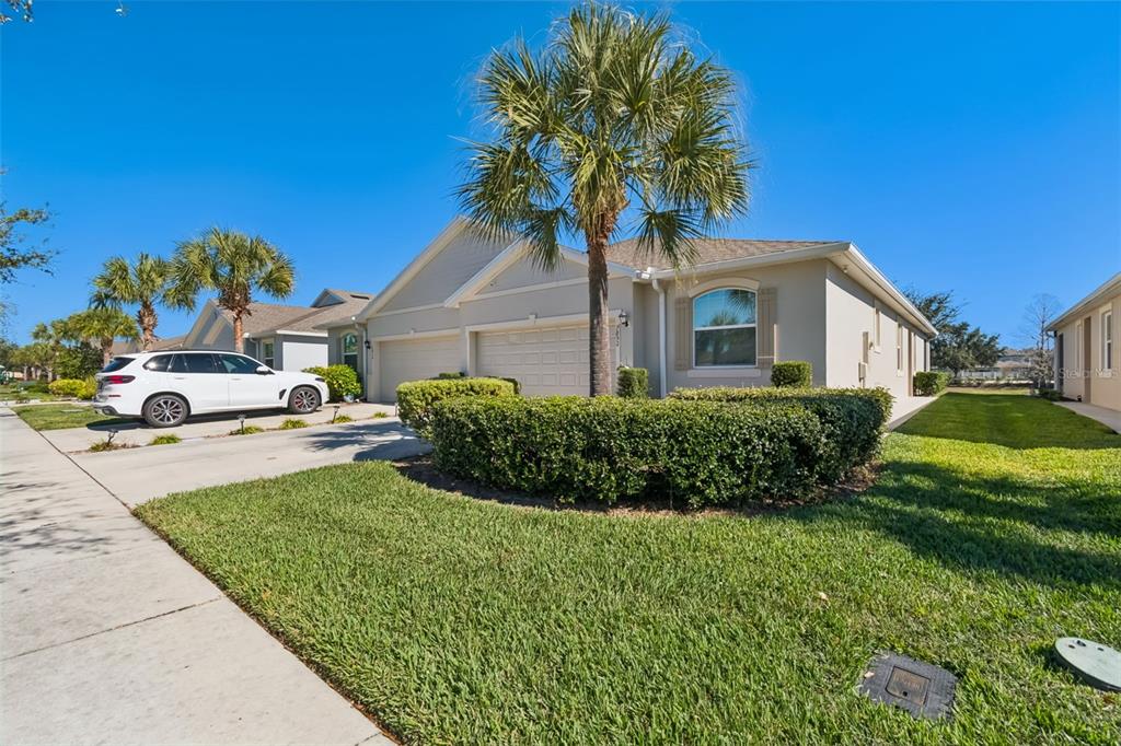 7852 Timberview Loop Wesley Chapel, FL 33545 - Photo 4 of 47