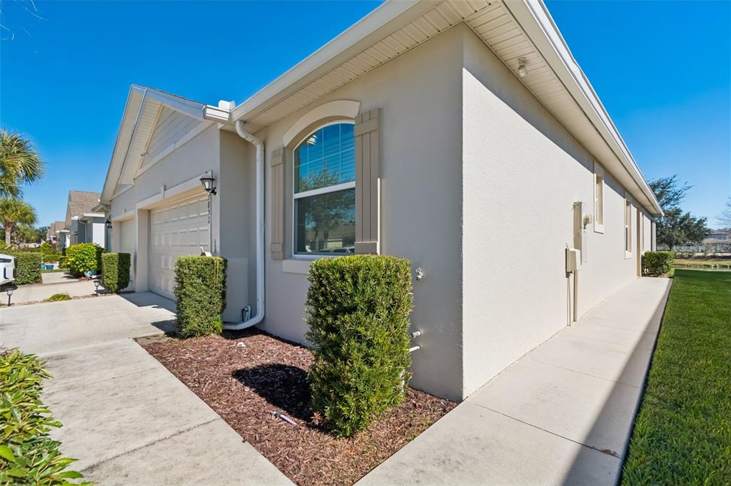 7852 Timberview Loop Wesley Chapel, FL 33545 - Photo 5 of 47