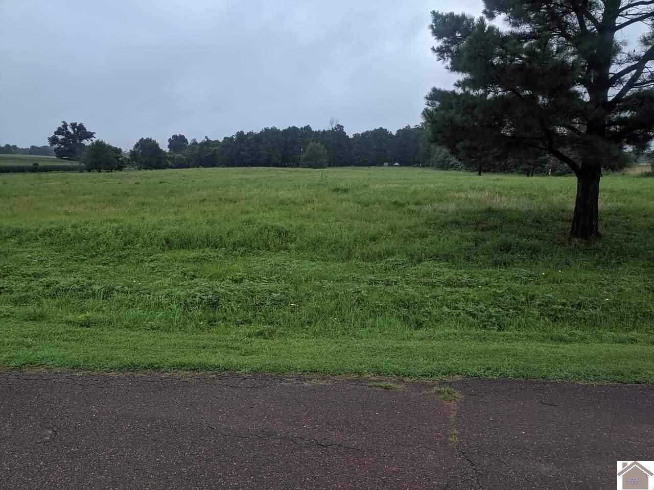 1642 Bazzell Cemetery Road Murray, KY 42071 - Photo 1 of 1 Photo 1