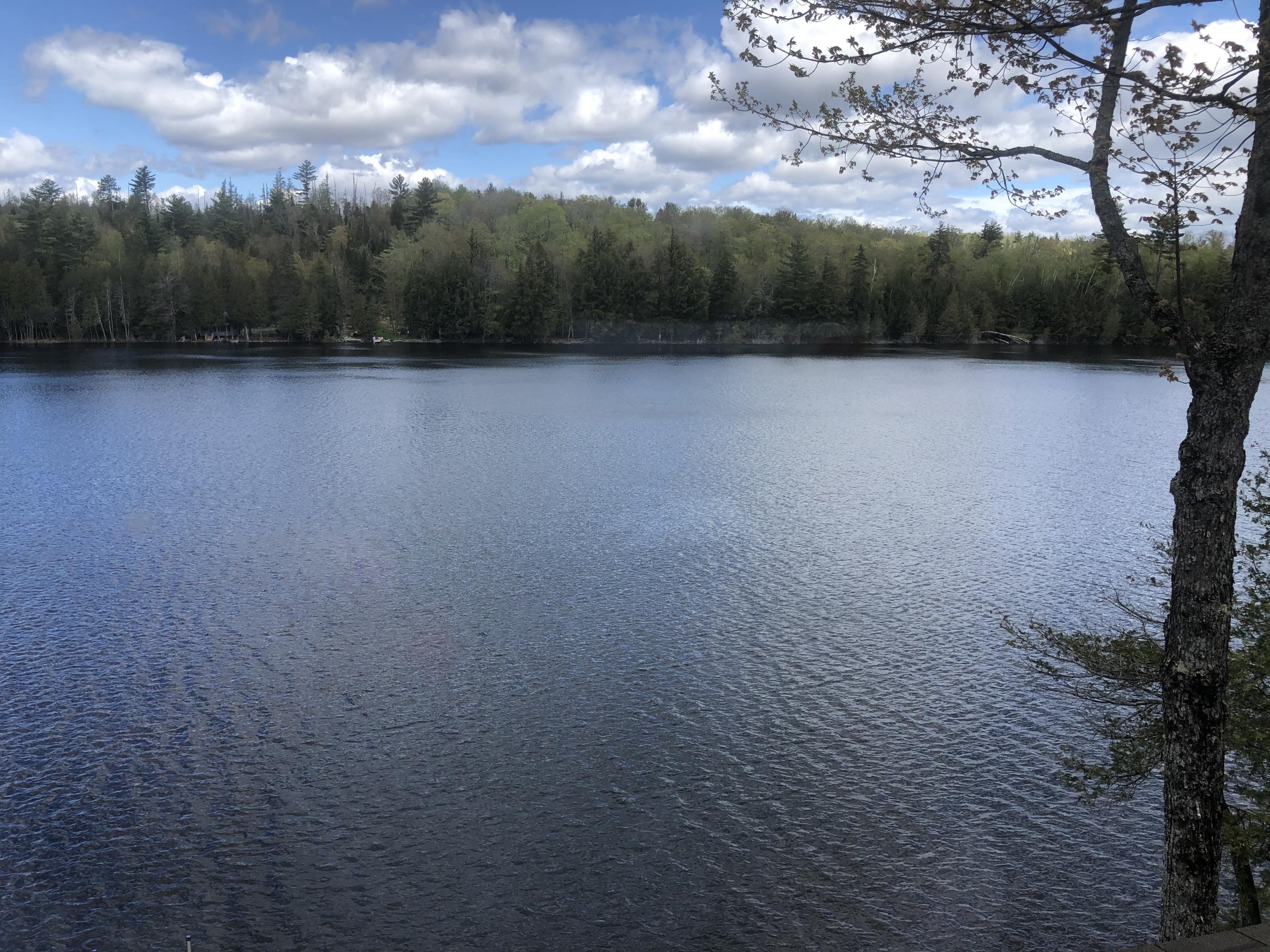85 Garland Pond Road Sebec, ME 04481 - Photo 8 of 24 IMG_5494