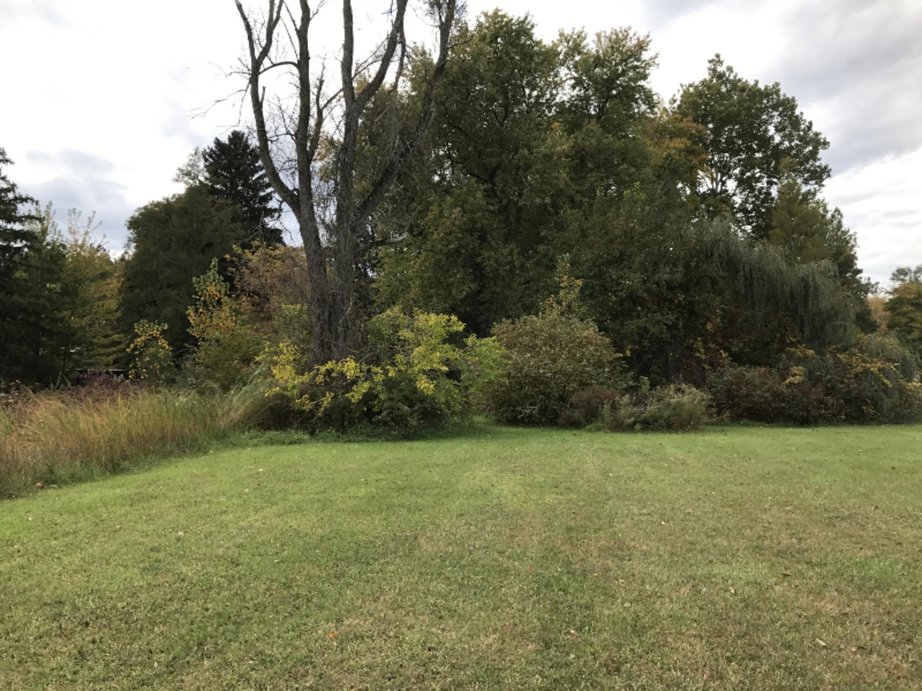 2489 Hemlock Road Quincy, MI 49082 - Photo 10 of 11 2489 Hemlock- (6)
