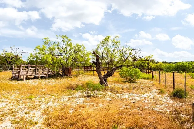 a view of a garden with a building in the background
