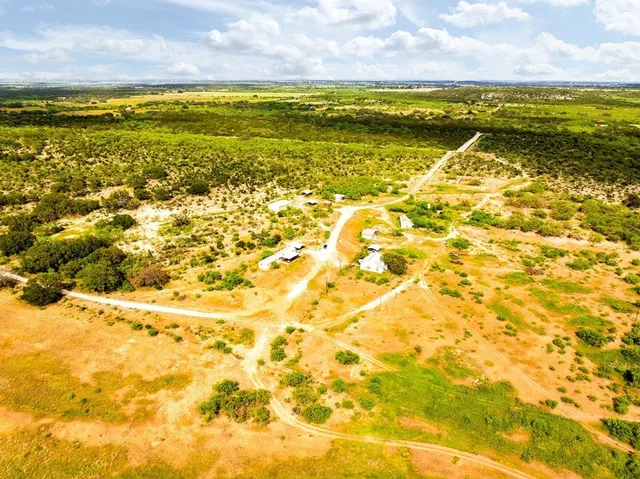 a view of ocean with a palm tree