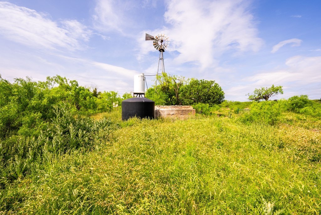 12757 State Highway Menard, TX 76859 - Photo 50 of 70 a view of a garden with a building in the background