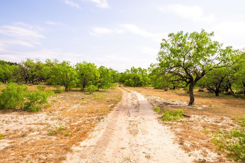 12757 State Highway Menard, TX 76859 - Photo 51 of 70 a view of a yard with a tree