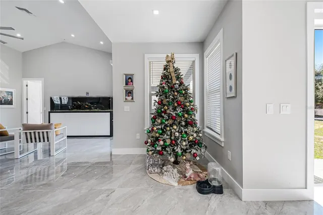 a living room with a potted plant and a window