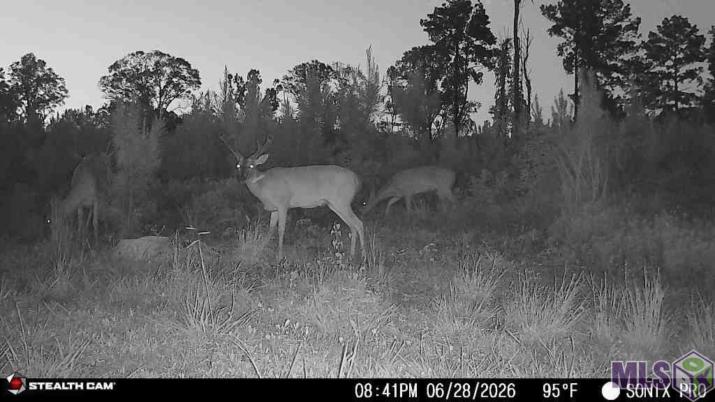 3320 Busy Corner Road Gloster, MS 39638 - Photo 28 of 34