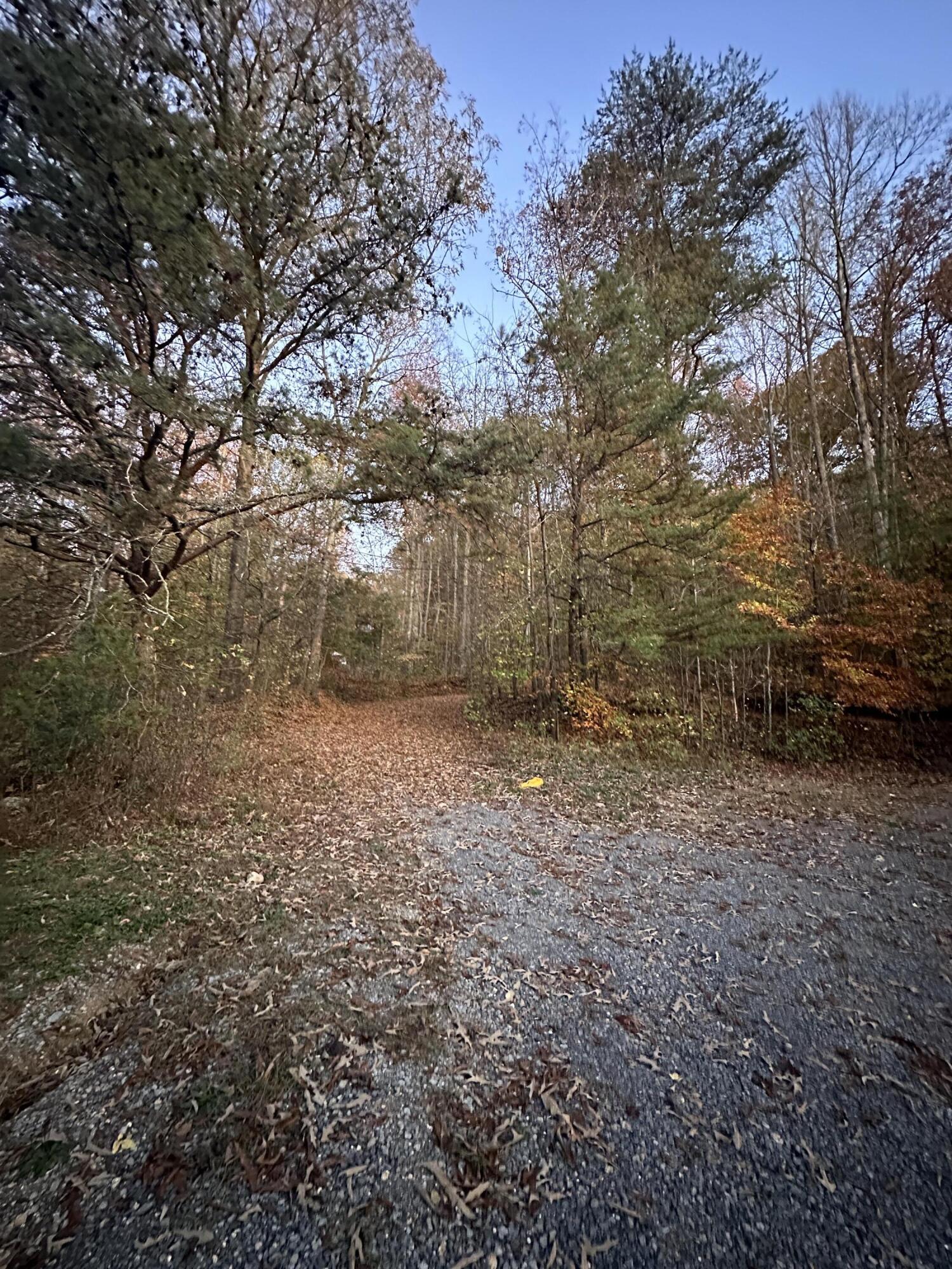 8754 Candies Creek Ridge Road Charleston, TN 37310 - Photo 3 of 6 Candiescreekridge4