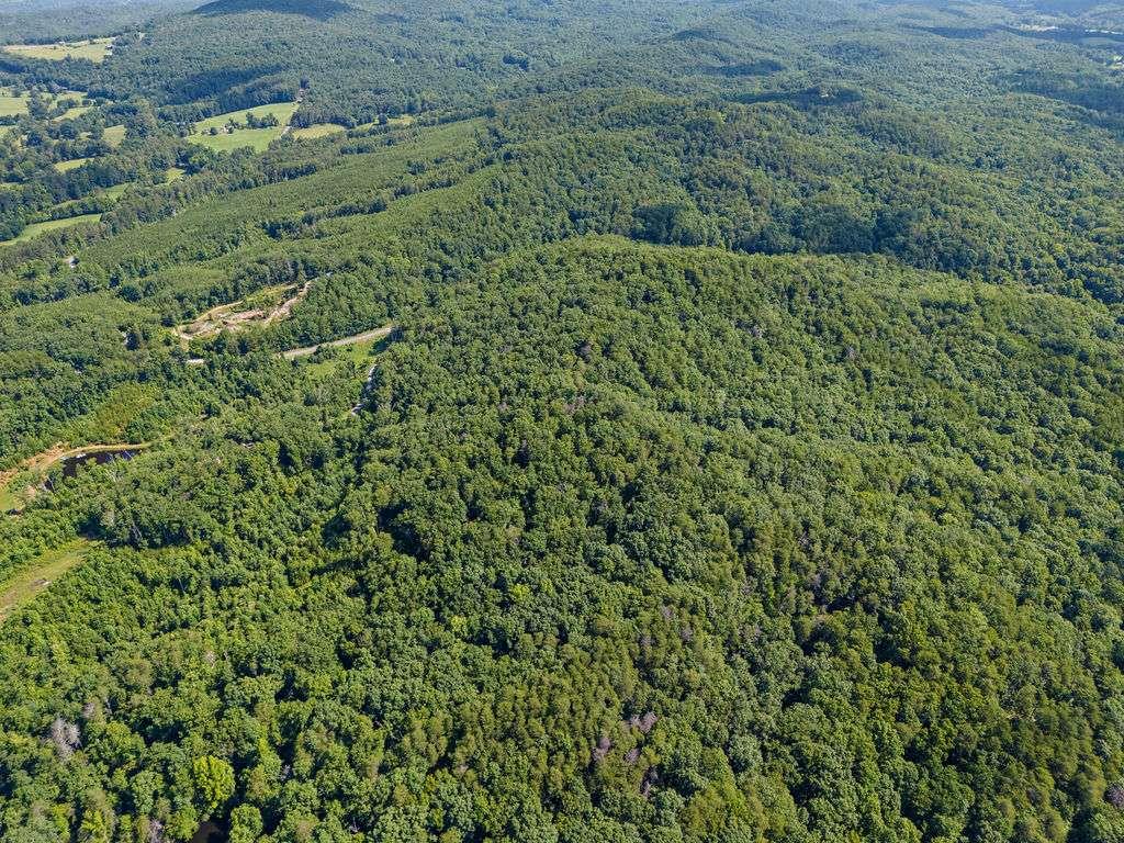 0 Shinbone Ridge Road LaFayette, GA 30728 - Photo 7 of 12