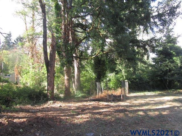6912 Liberty Road South Salem, OR 97306 - Photo 22 of 37 a view of a yard with a tree