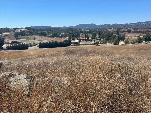 a view of a dry yard