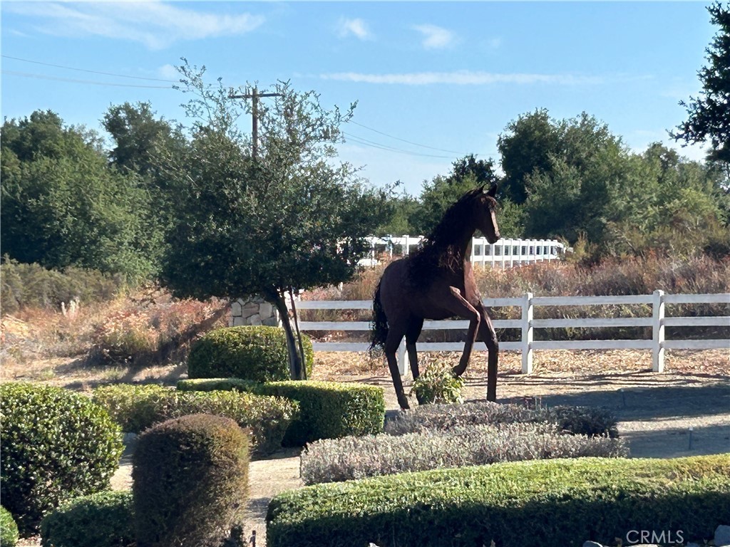 0 Vista Flora Road Murrieta, CA 92562 - Photo 32 of 52 a view of yard and tree in the background