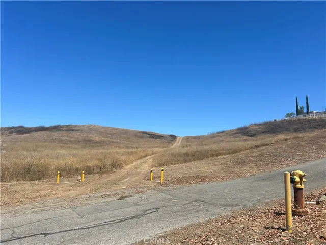 a view of a bunch of flowers and trees