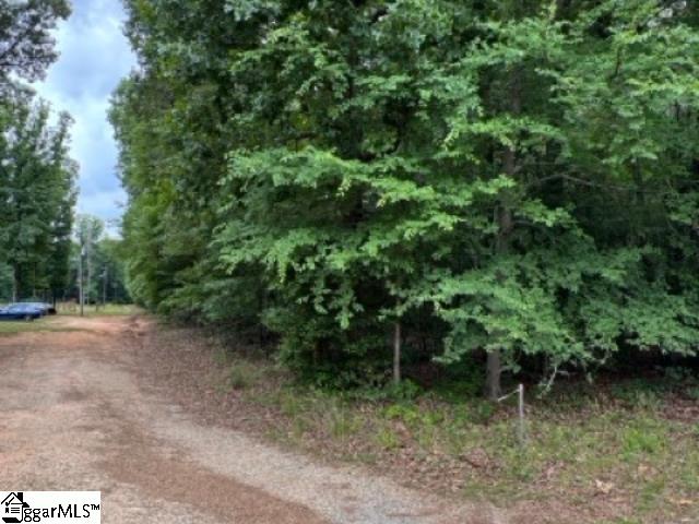 224 Mountain Creek Road Honea Path, SC 29654 - Photo 3 of 5