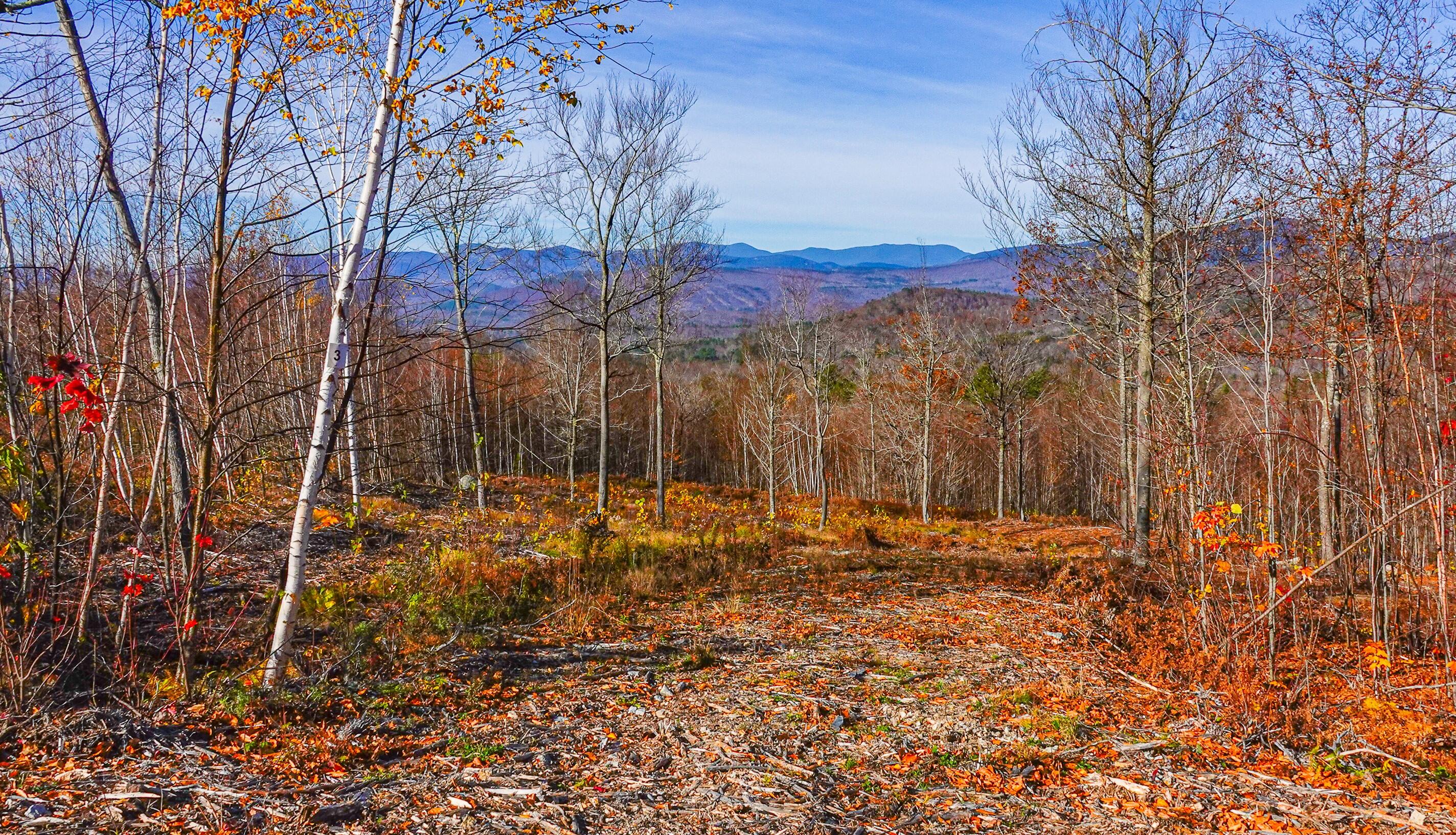 Lot 3 Mine Road Stoneham, ME 04231 - Photo 2 of 6 Lot 3A-merrill farm lots-58 copy