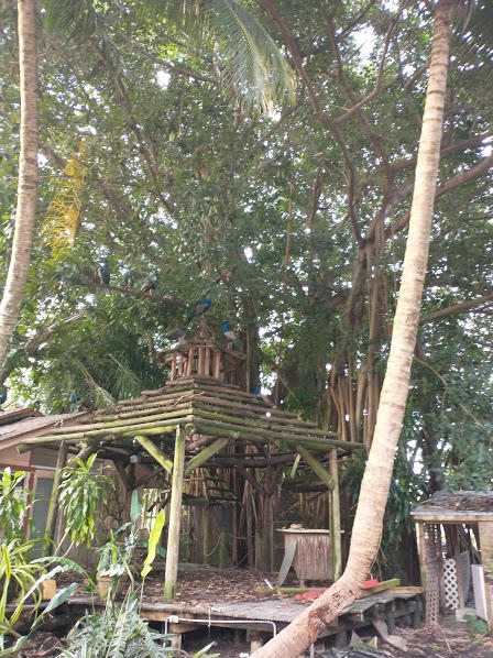 1100 D Road Loxahatchee Groves, FL 33470 - Photo 19 of 24 a view of outdoor space with seating area