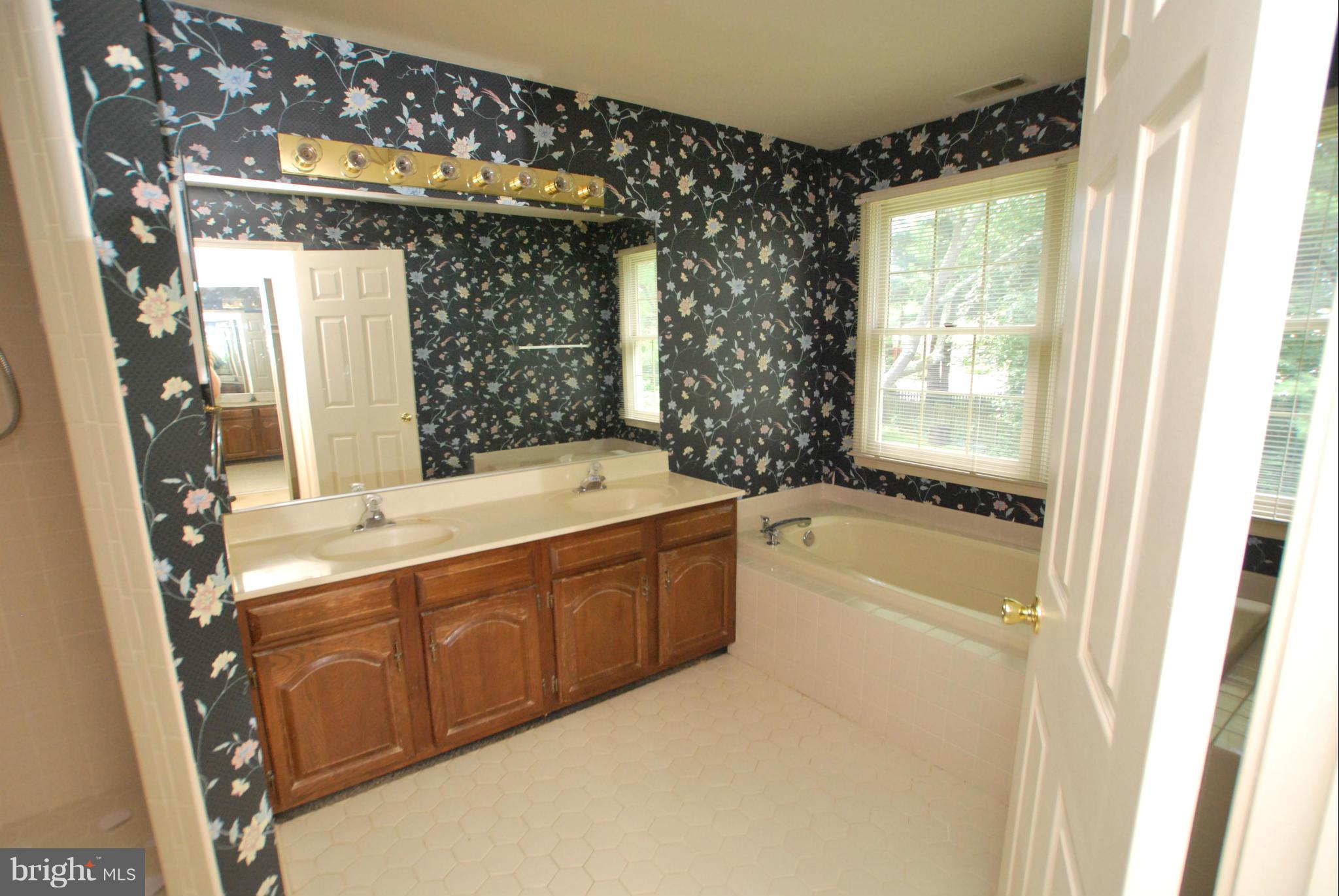 8911 Old Courthouse Road Vienna, VA 22182 - Photo 15 of 24 Bath (Master)