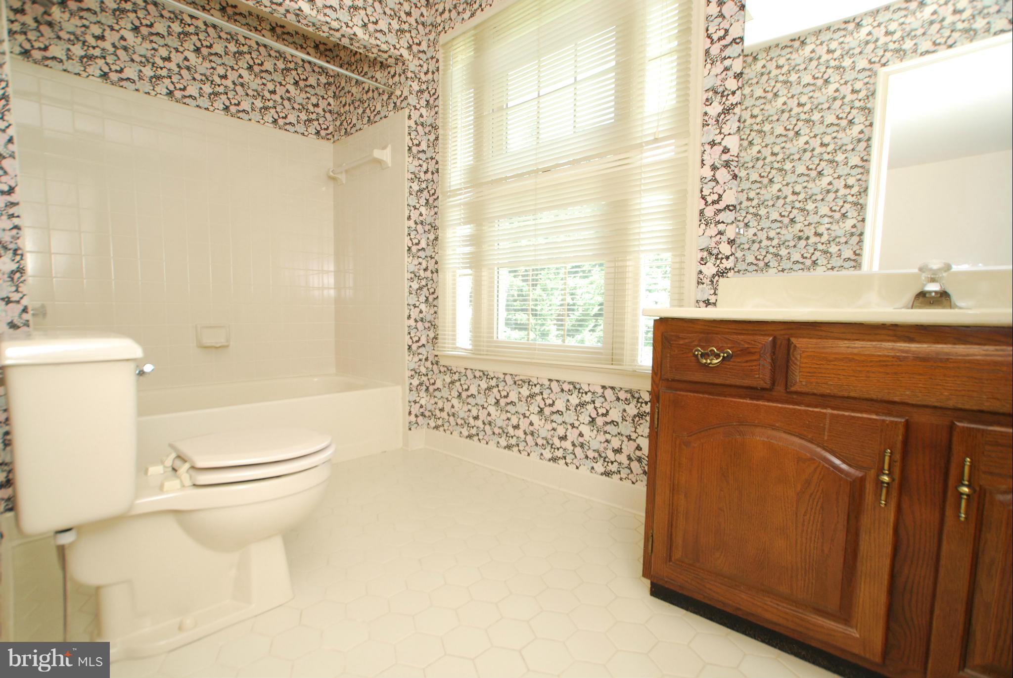 8911 Old Courthouse Road Vienna, VA 22182 - Photo 22 of 24 Bath