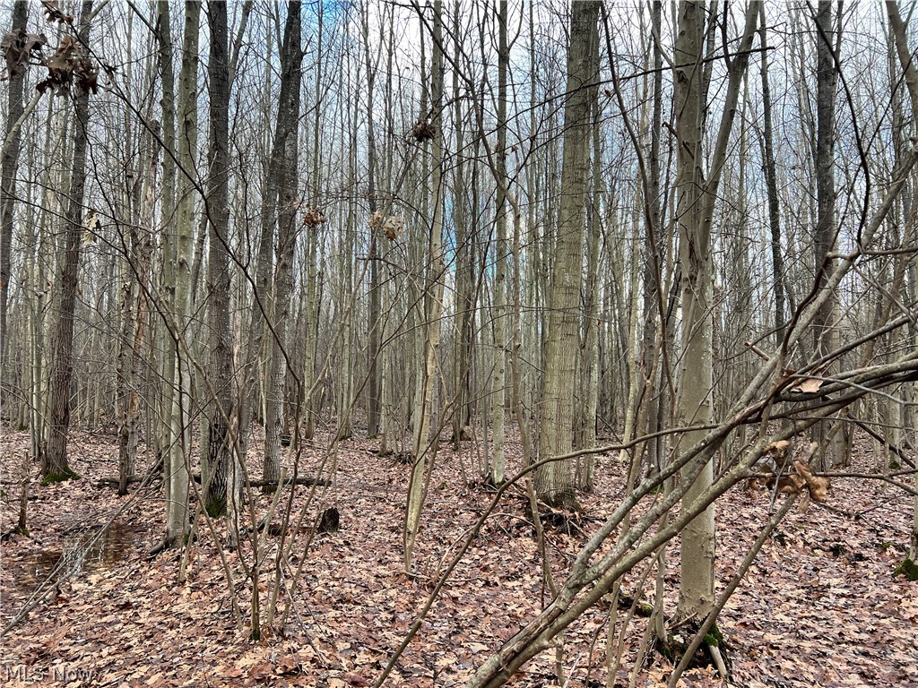 1291 Old Kyle Road Dorset, OH 44032 - Photo 13 of 21