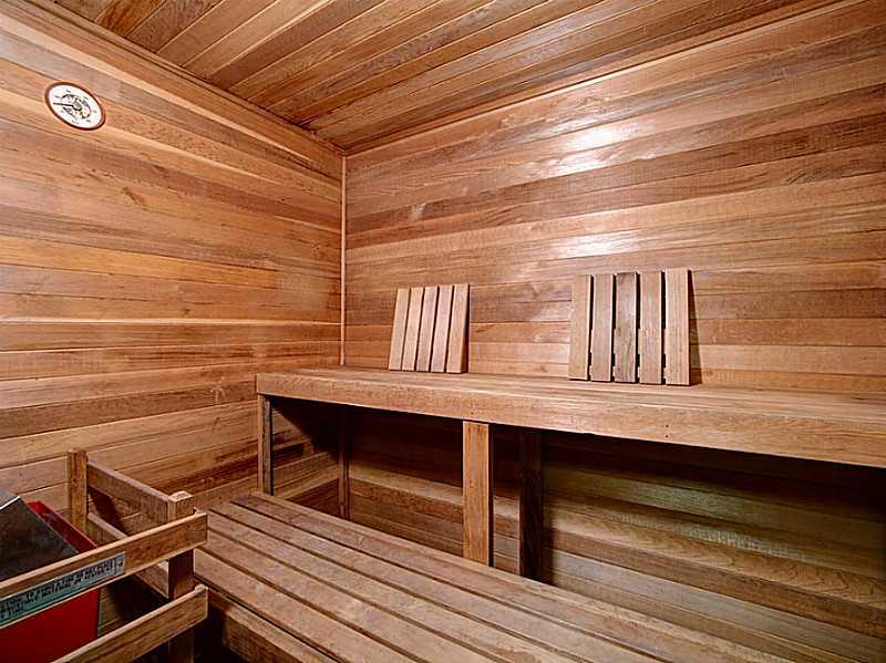 56 Holland Road Churchill, PA 15235 - Photo 19 of 25 Swimming Pool/Hot Tub/Sauna. Lowe-Level sauna.