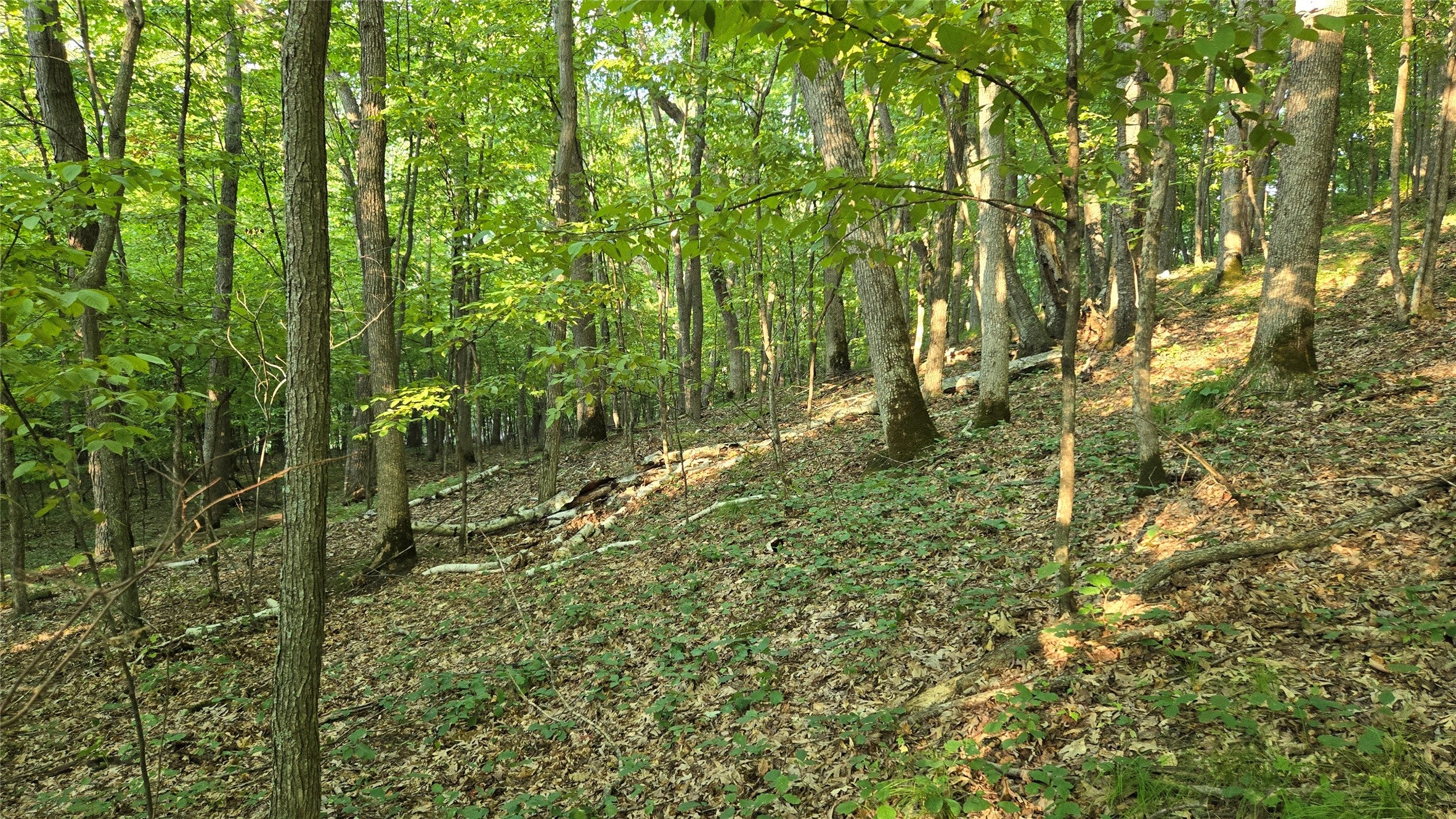 W02 State Highway Ridgeland, WI 54763 - Photo 29 of 45 Gallery Image 29