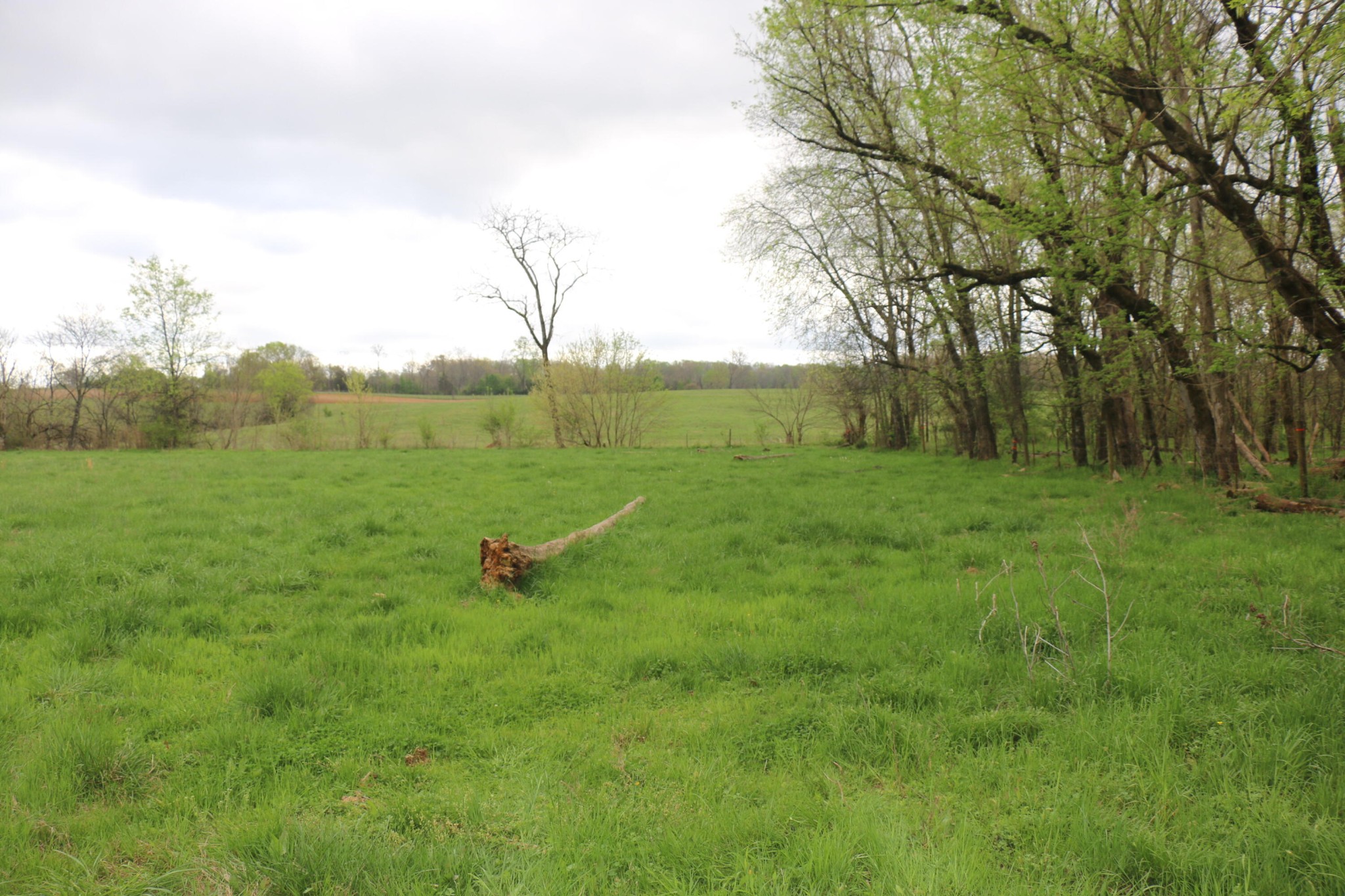 606 Campground Road Madisonville, TN 37354 - Photo 4 of 9