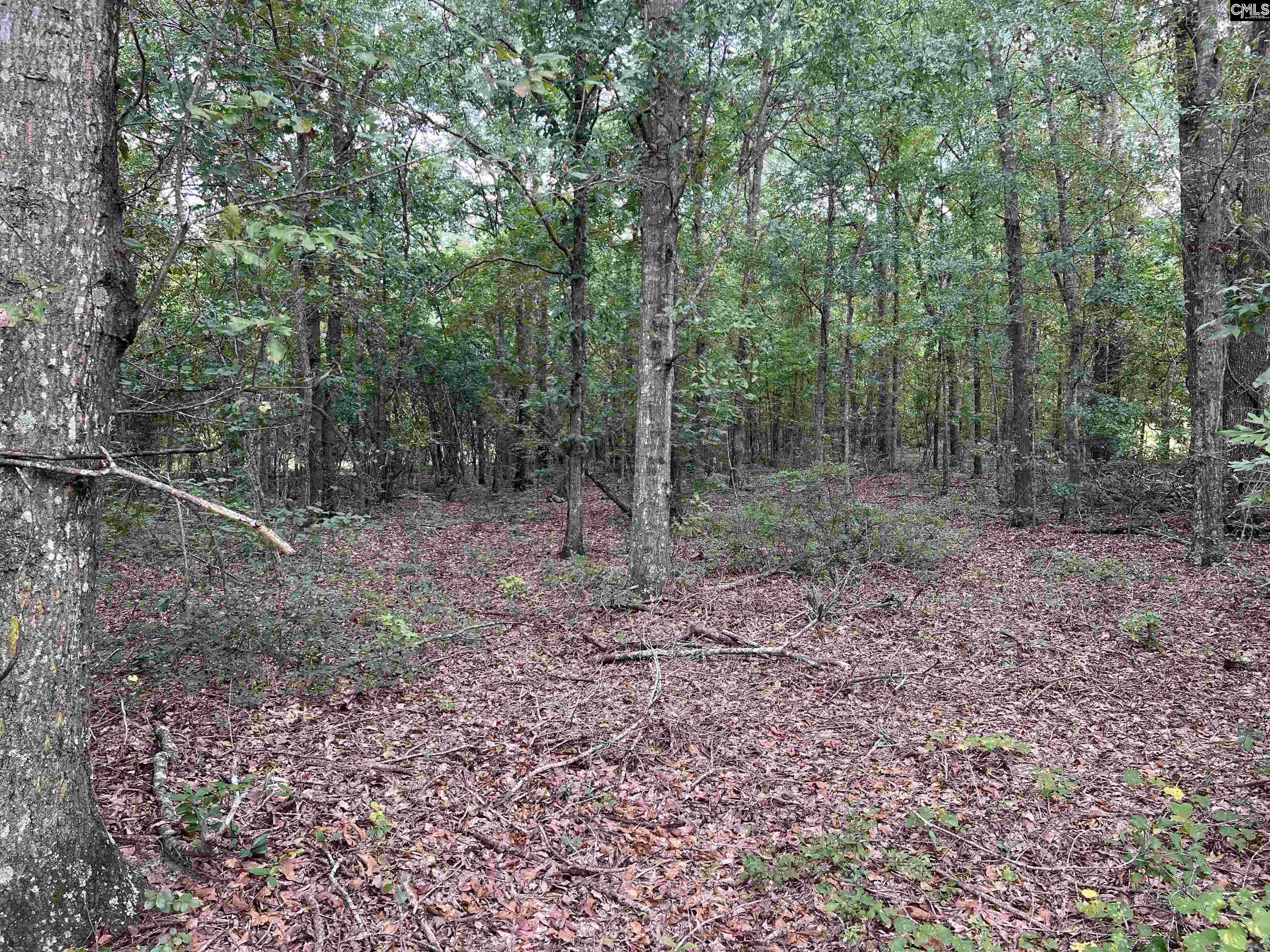 0 Cliff Road Pelion, SC 29123 - Photo 22 of 28