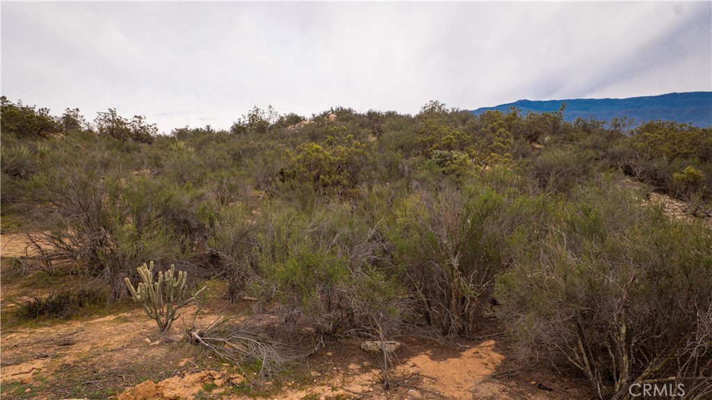 0 Aguanga Ranchos Road Aguanga, CA 92536 - Photo 5 of 25 a view of a field