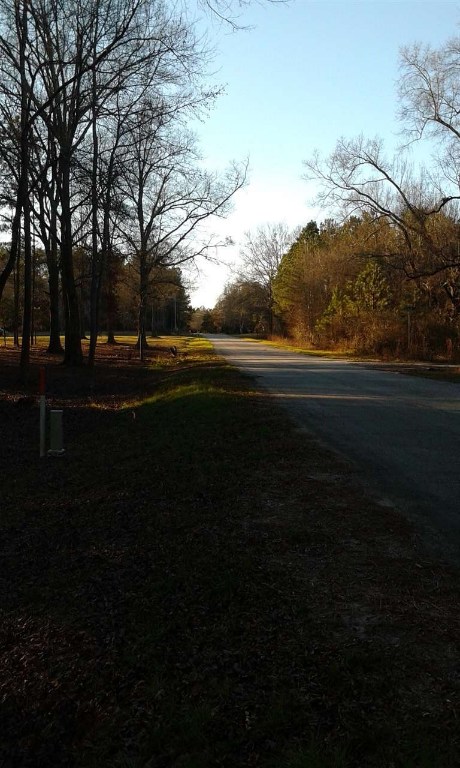 Lot 5 Tribble Road Donalds, SC 29638 - Photo 1 of 5