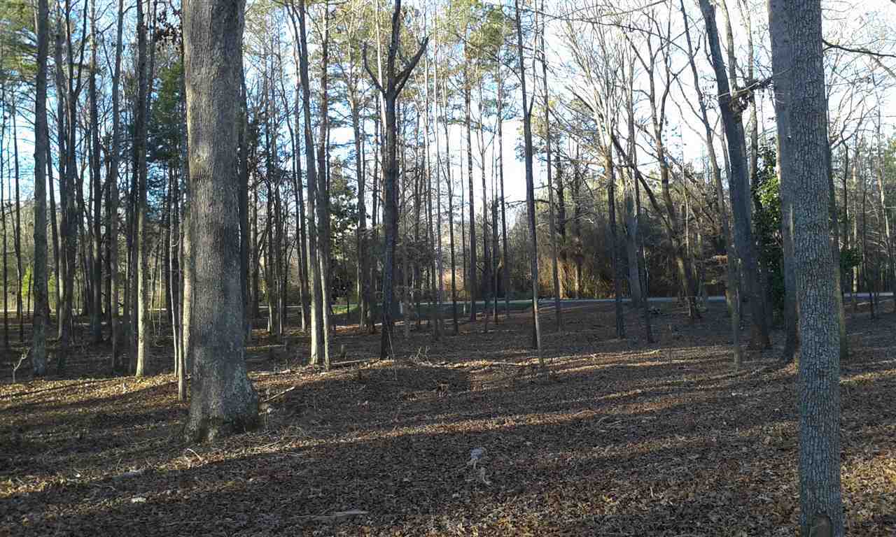 Lot 5 Tribble Road Donalds, SC 29638 - Photo 3 of 5