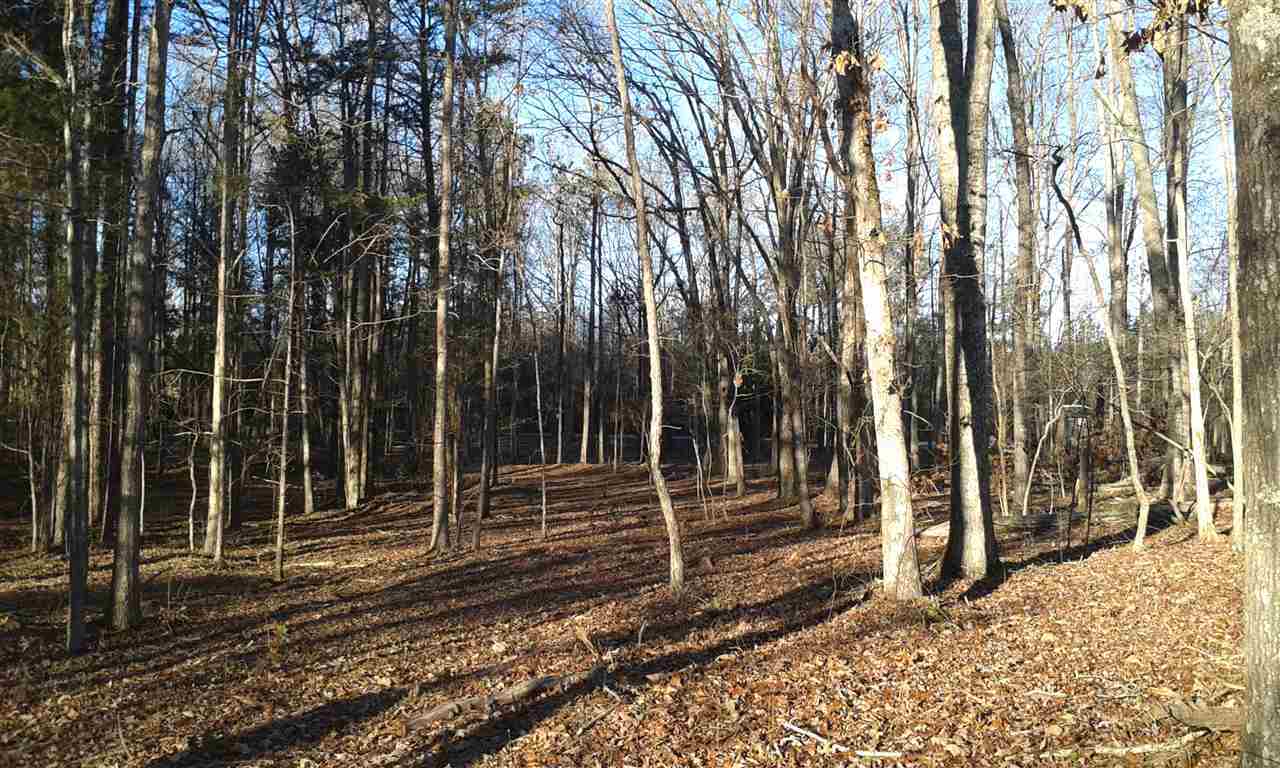 Lot 5 Tribble Road Donalds, SC 29638 - Photo 5 of 5