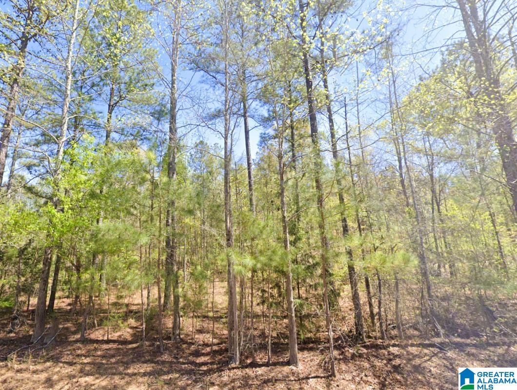 5565 Red Robin Road Sylacauga, AL 35151 - Photo 1 of 15