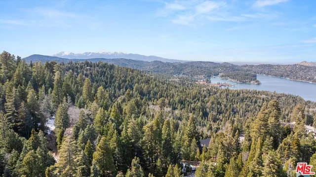 a view of a city with lush green forest