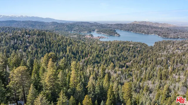 a view of a lush green field with mountains in the background
