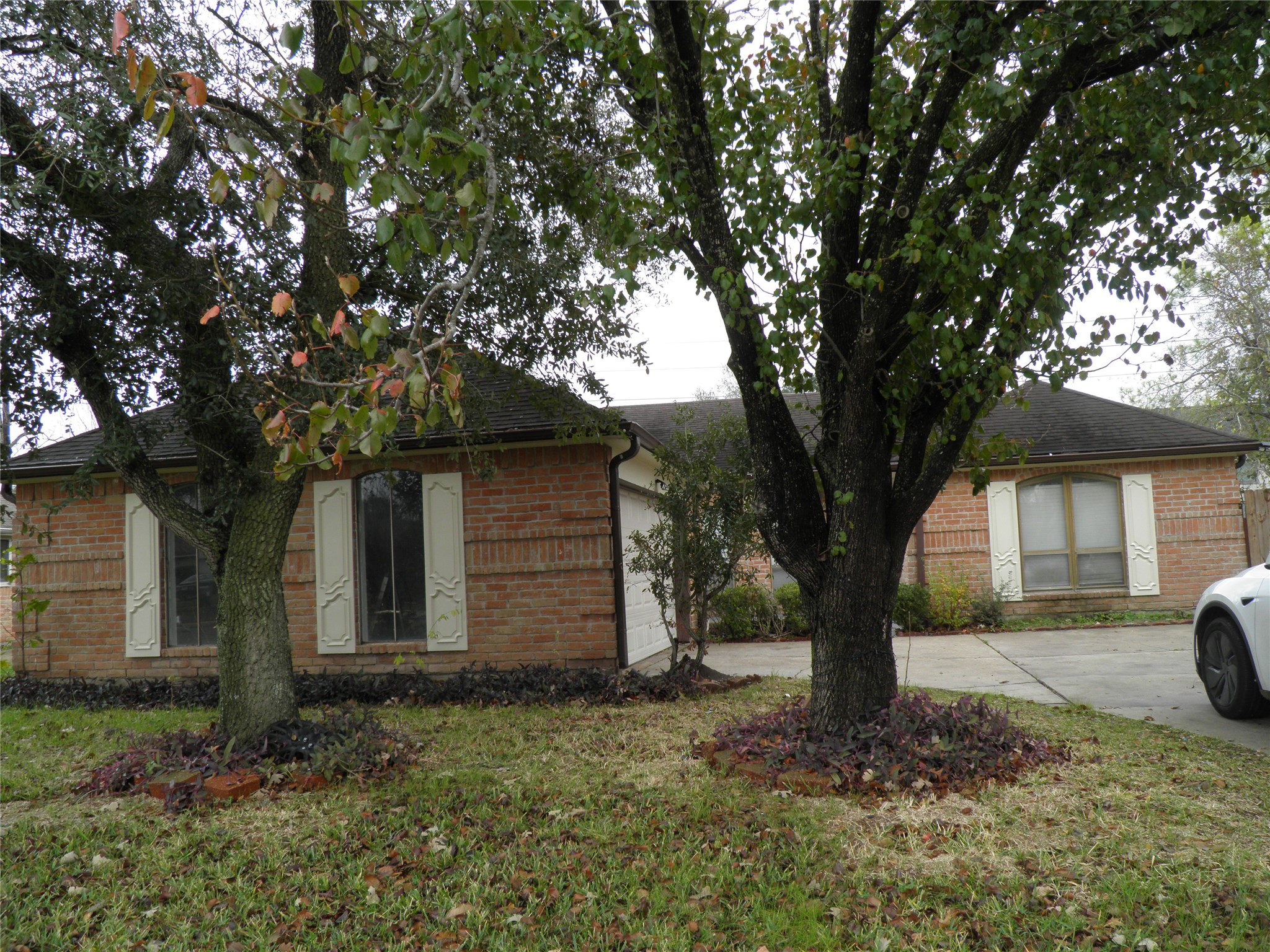 a tree in front of a white house